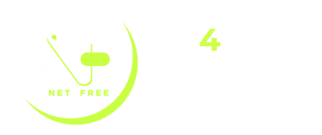 Net4Free Project by Forini Spa